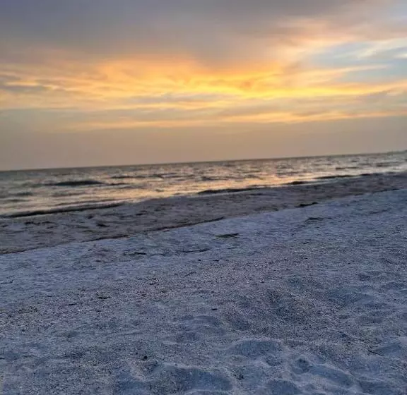 Always Summer On A White Sandy Beach