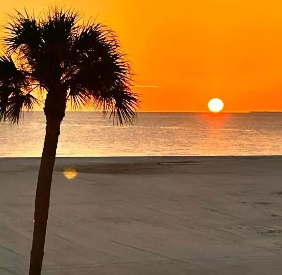Always Summer On A White Sandy Beach
