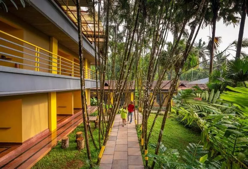 The Hosteller Wayanad
