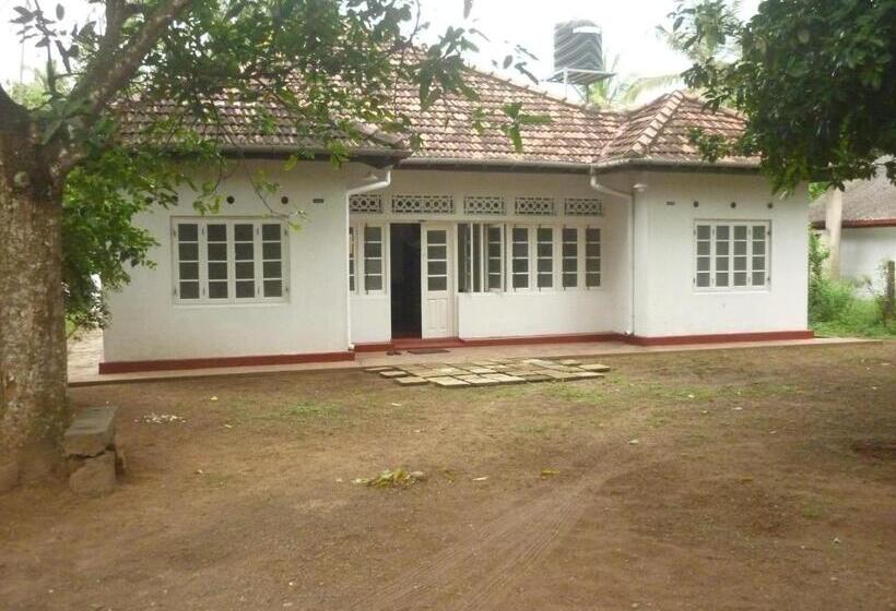 Schronisko Boogie Mode