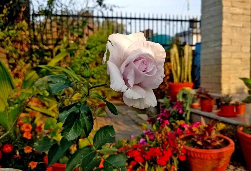 تختخواب و صبحانه Himalayan Home Lamagaun Pokhara 10 Minute Drive From Tourist Place Lakeside Rent Rooms