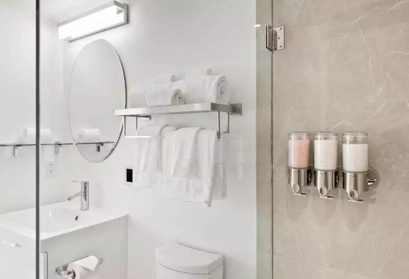 Hotelli Boutique Room Steps From Downtown Mall Rose Jean Room 3