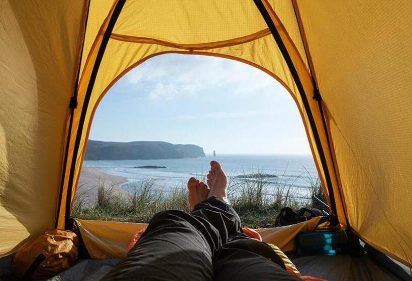 בית מלון כפרי Coconut Nest