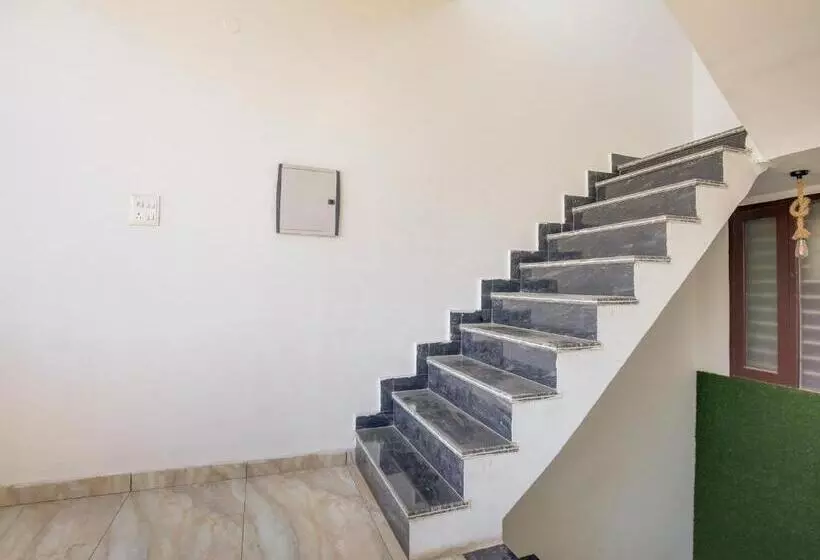 Oyo Hotel Riyasat Inn