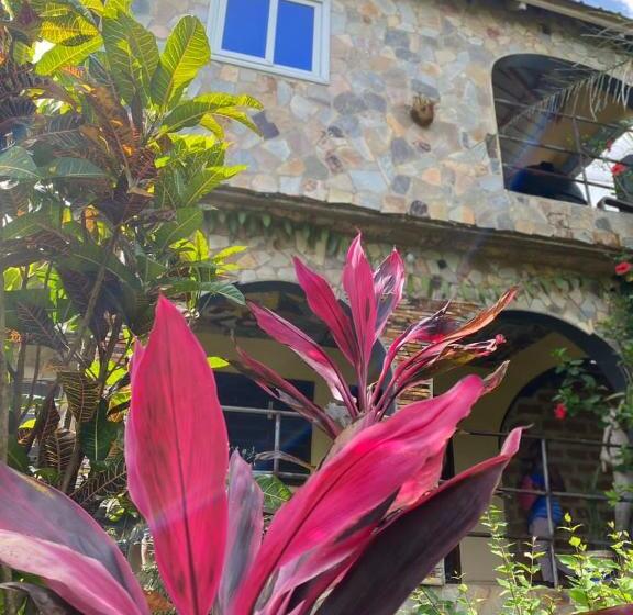 پانسیون Lodge Au Paradis Fleuri