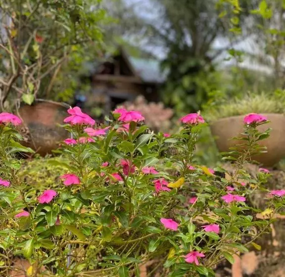 پانسیون Lodge Au Paradis Fleuri