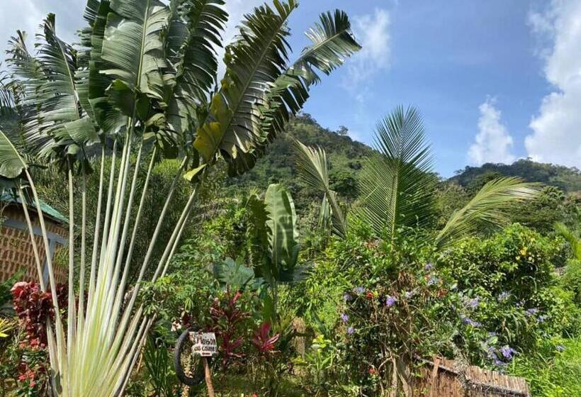 پانسیون Lodge Au Paradis Fleuri