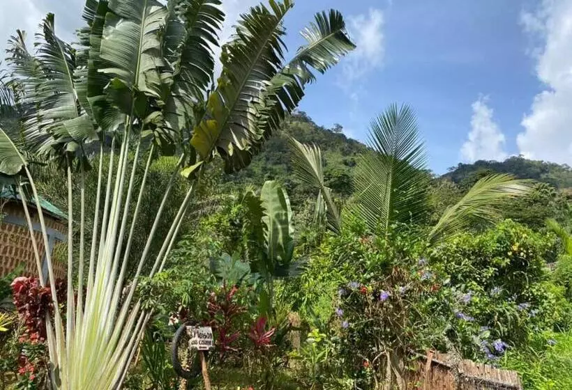 پانسیون Lodge Au Paradis Fleuri