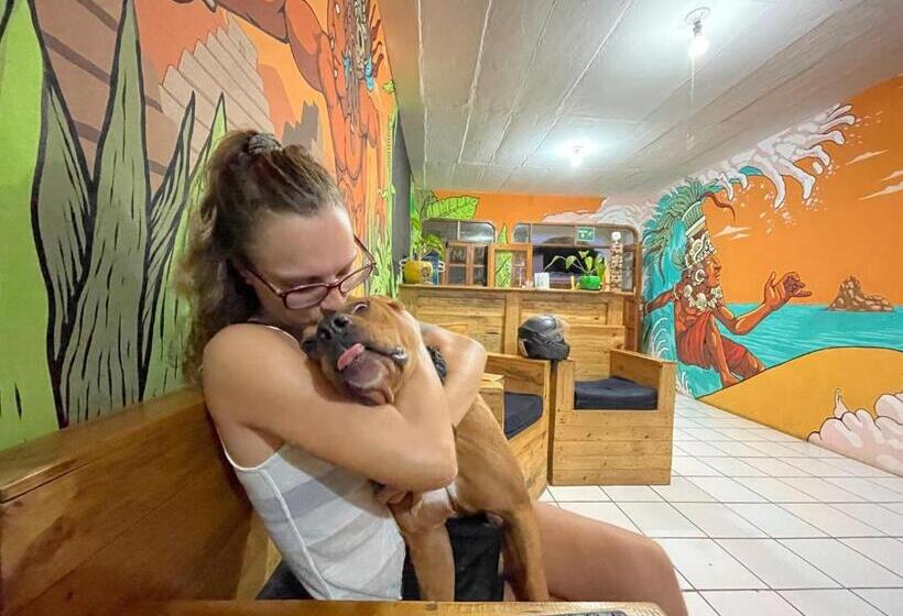 旅馆 Hostal Namborus