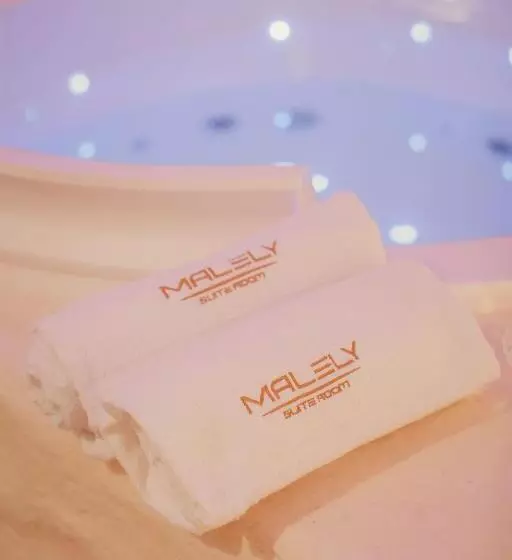 تختخواب و صبحانه Malely Suite