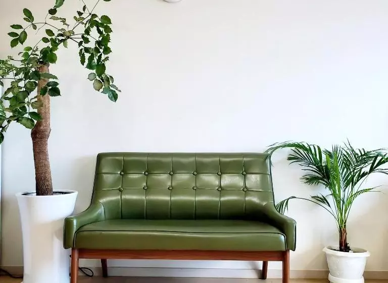 Cozy Bright Studio
