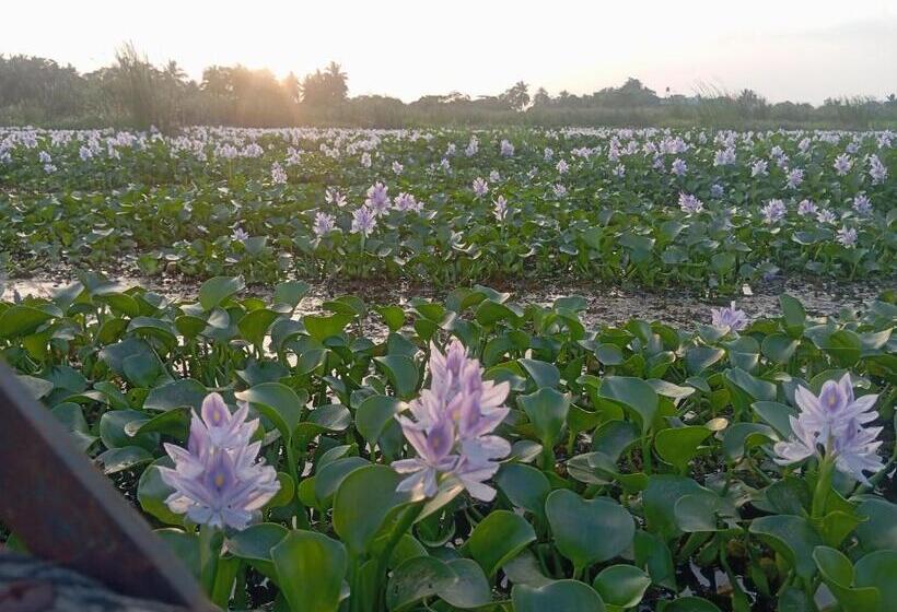 Hotel Cielstar Resort