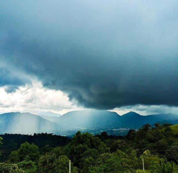 ホテル The Aurelia