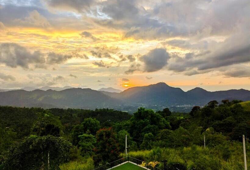 ホテル The Aurelia