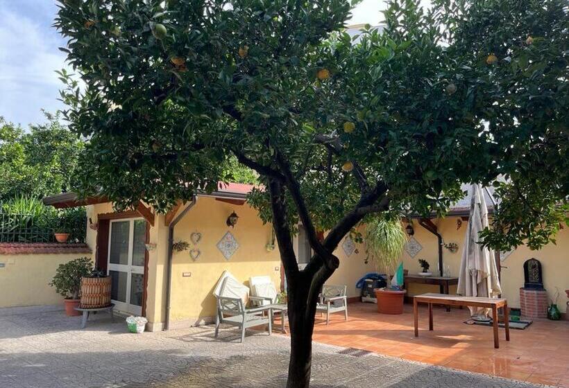 پانسیون L Approdo 2