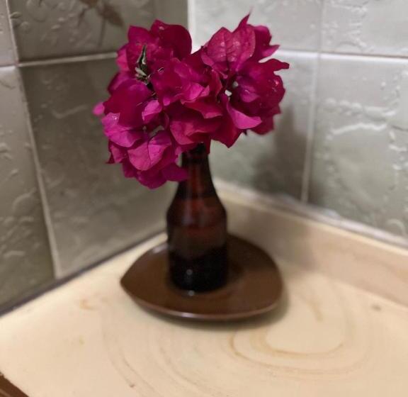 פנסיון Residence 71 At Nadi Town At The Heart Of Nadi Town