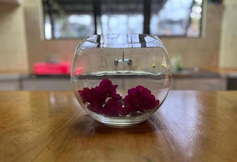 פנסיון Residence 71 At Nadi Town At The Heart Of Nadi Town