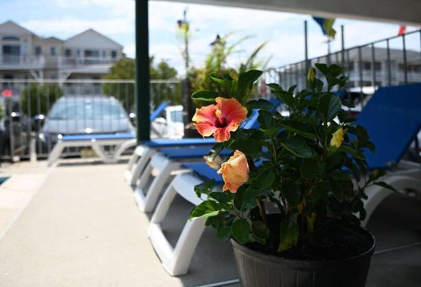 Grecian Garden Motel