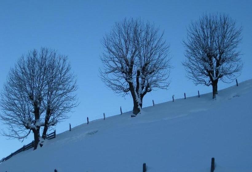 בית מלון כפרי Apartment Galtenberg