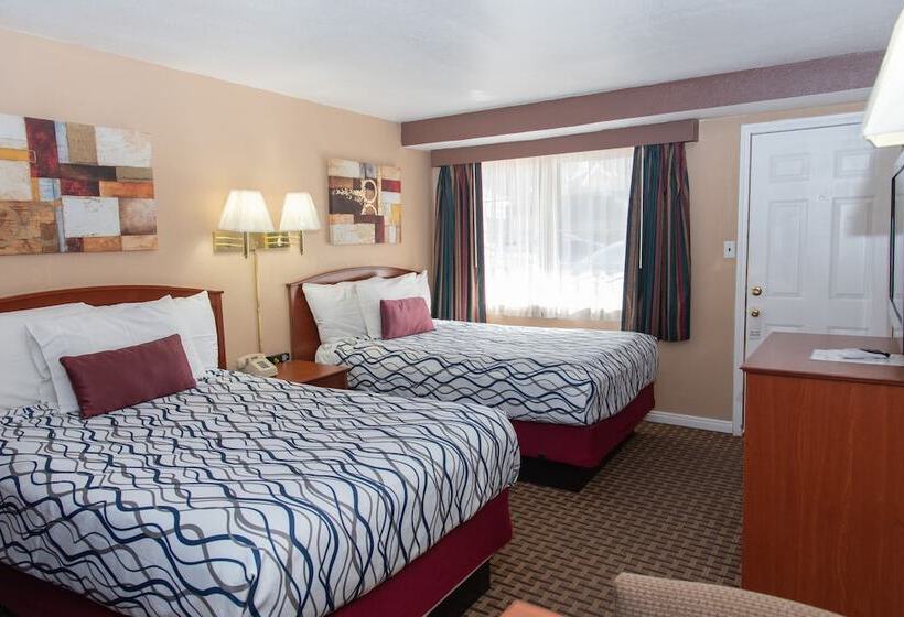 فندق Esquire Inn