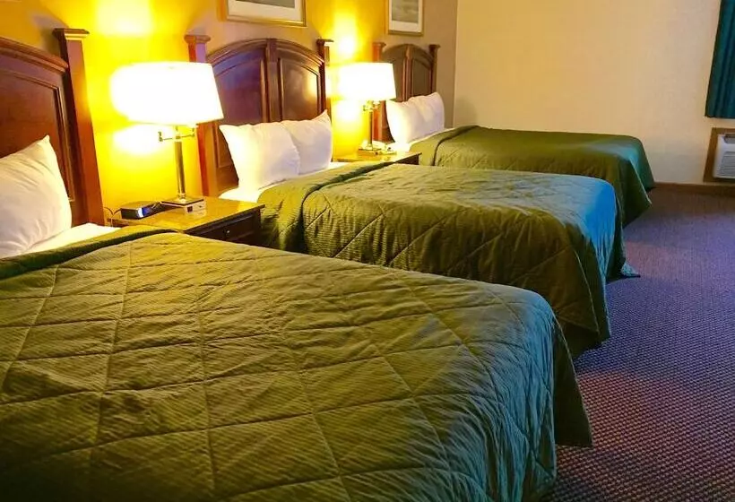 Hotelli Executive Inn And Suites