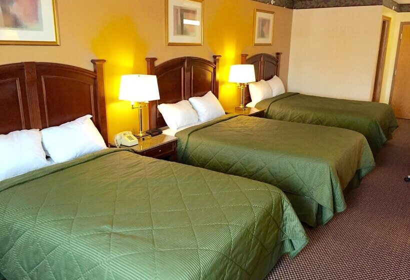 酒店 Executive Inn And Suites