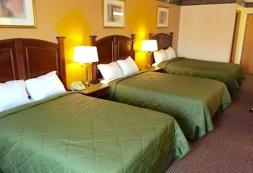 Hotelli Executive Inn And Suites