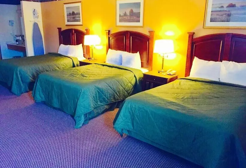 Hotelli Executive Inn And Suites