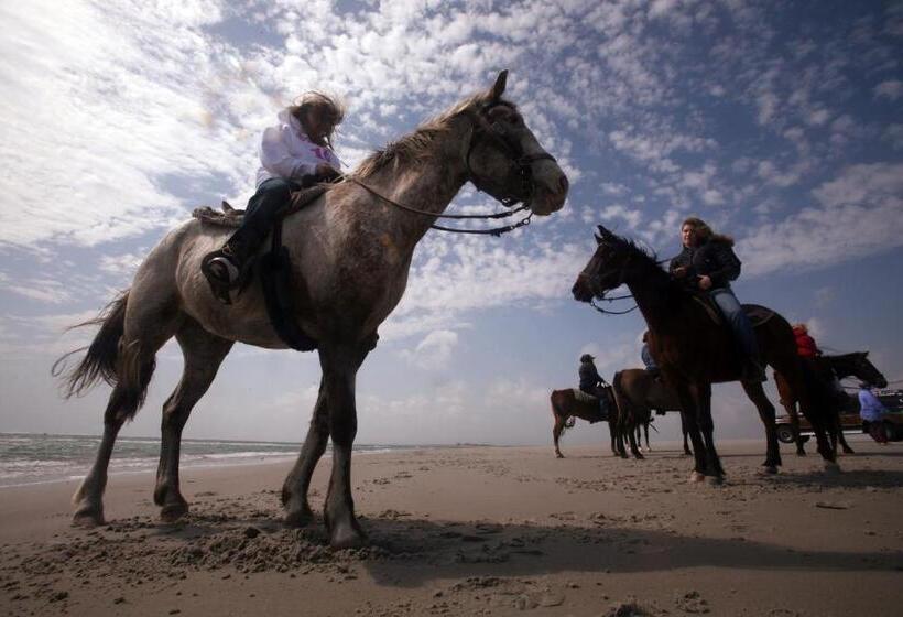 בית מלון כפרי Hamlet Inn