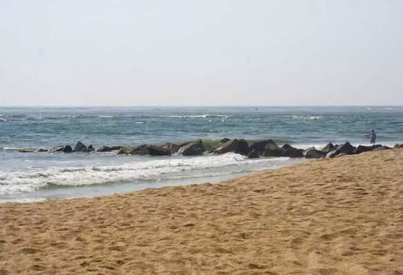 هتل Oceanview Lodge   Saint Augustine