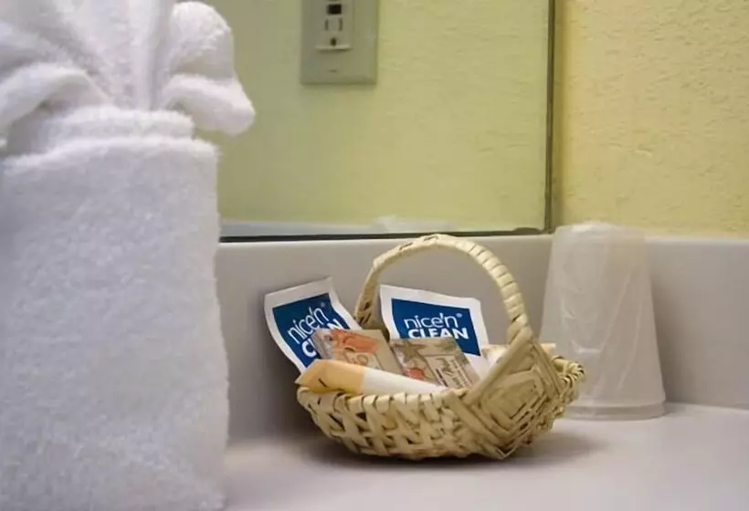 هتل Oceanview Lodge   Saint Augustine