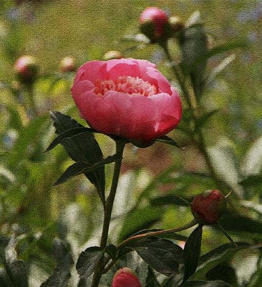 فندق The Ellwanger Estate