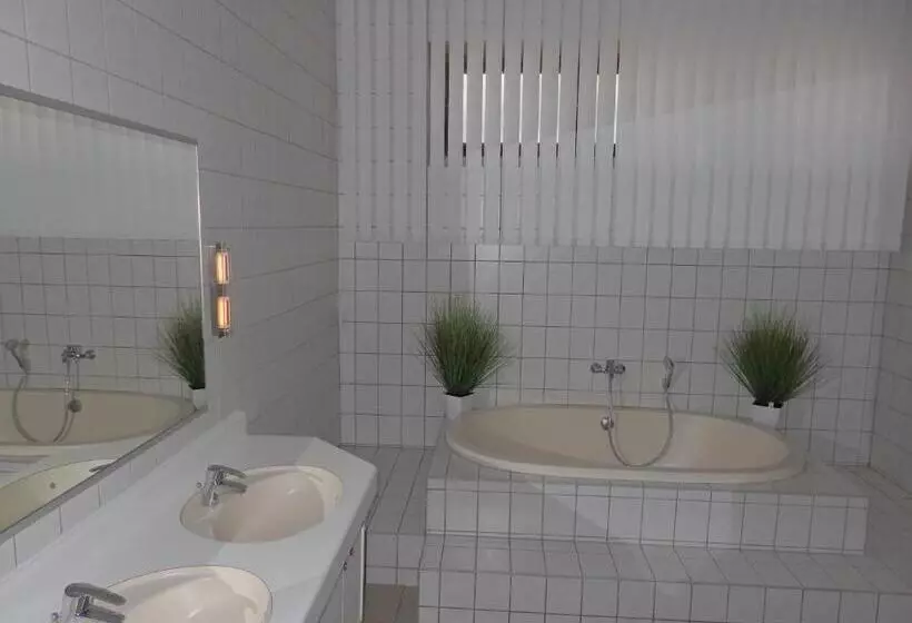 Hotelli Zur Saale