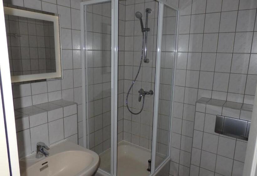 Отель Zur Saale