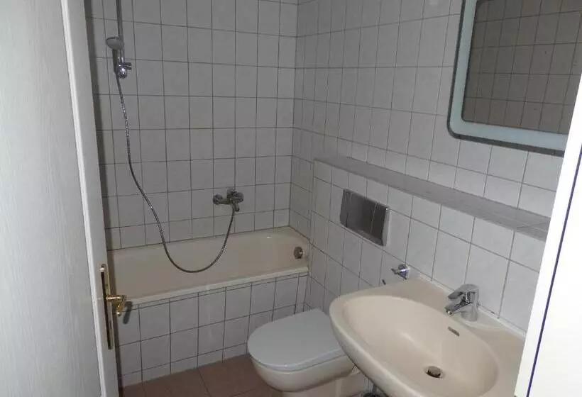 Hotelli Zur Saale
