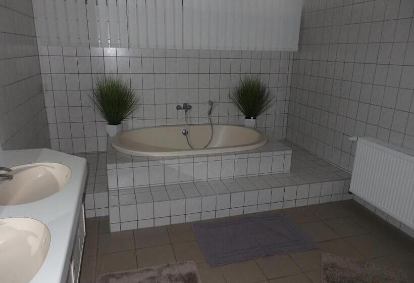 Отель Zur Saale