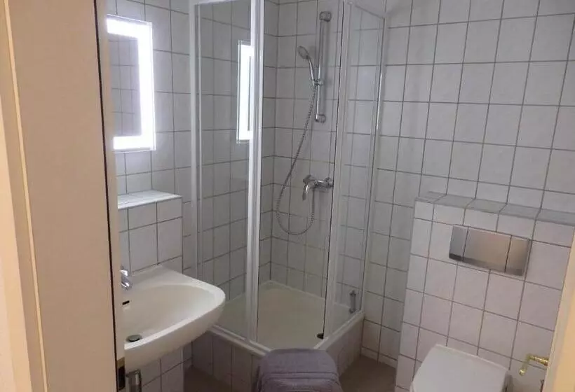 Hotelli Zur Saale