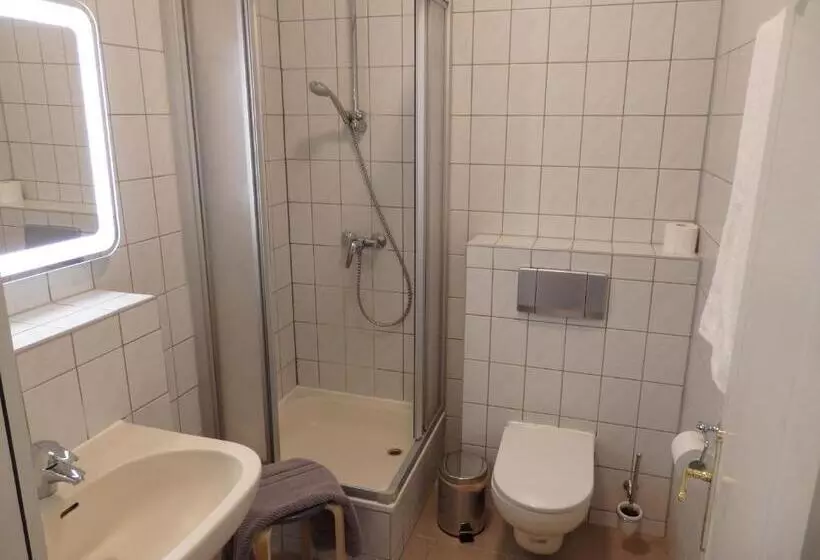 Hotelli Zur Saale