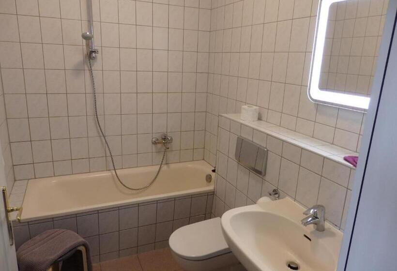 Отель Zur Saale