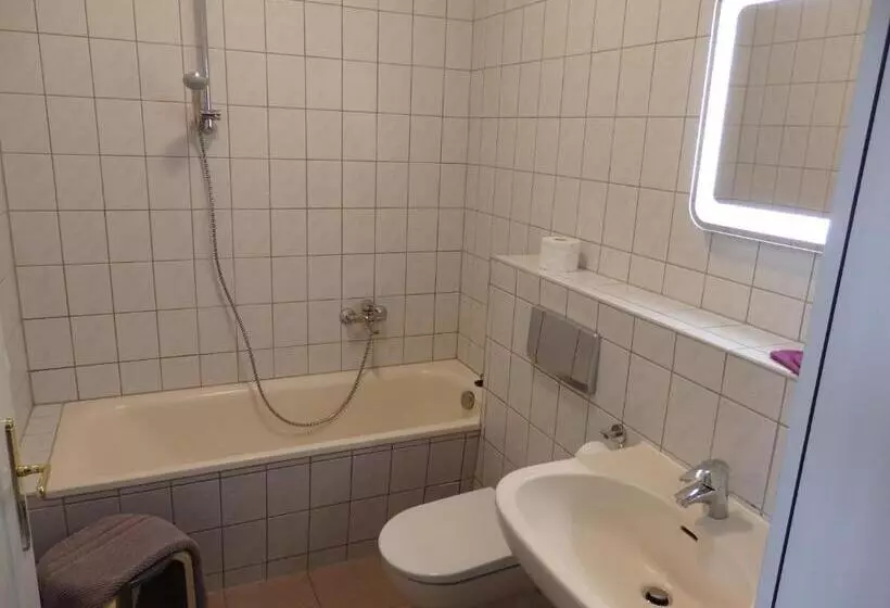 Hotelli Zur Saale