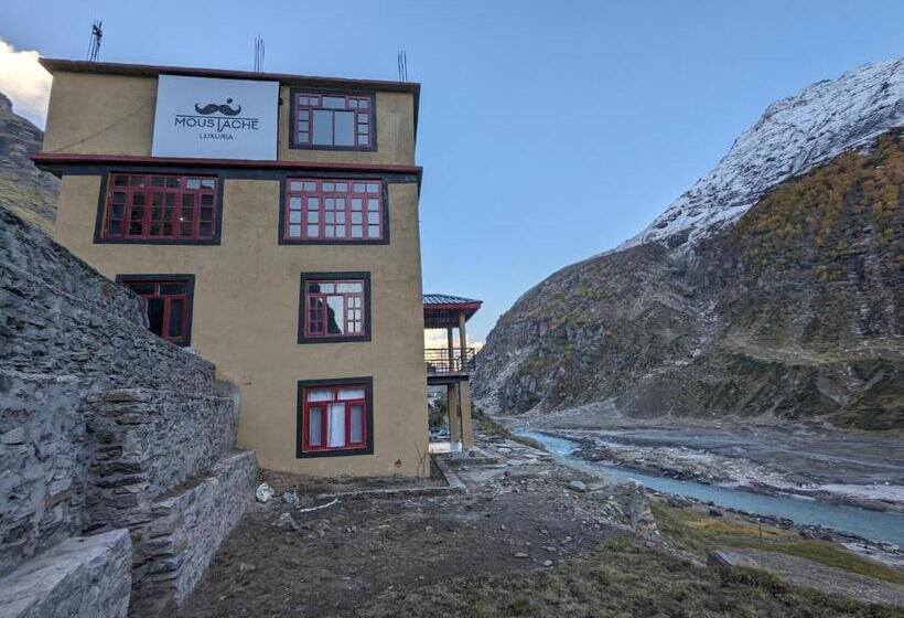 הוסטל Moustache Koksar Luxuria, Sissu