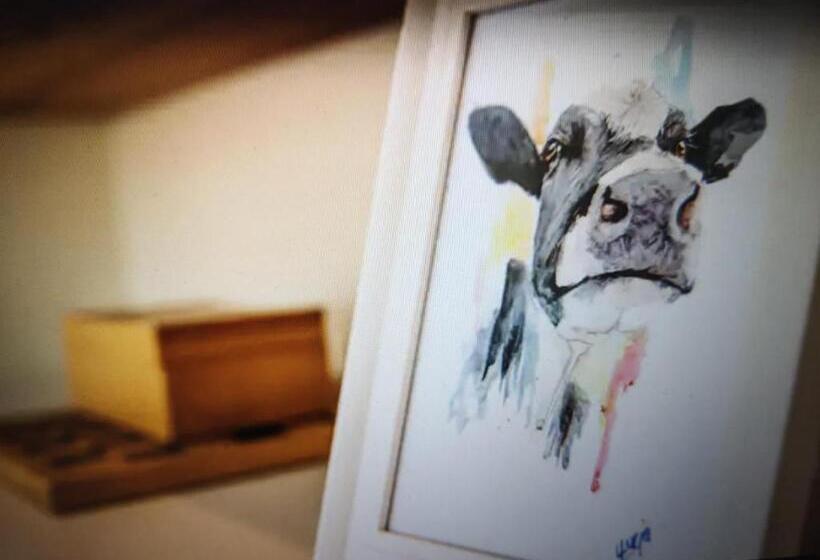 ベッドアンドブレックファースト Drainllwyn