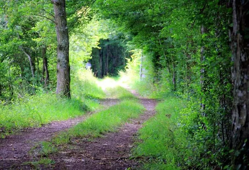 Aamiaismajoitus (B&B) La Maison Haute