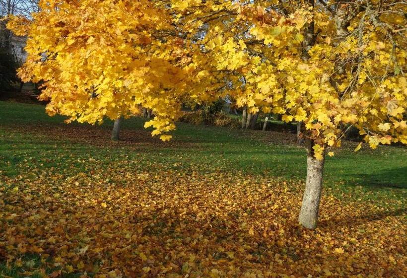 Bed and Breakfast La Maison Haute