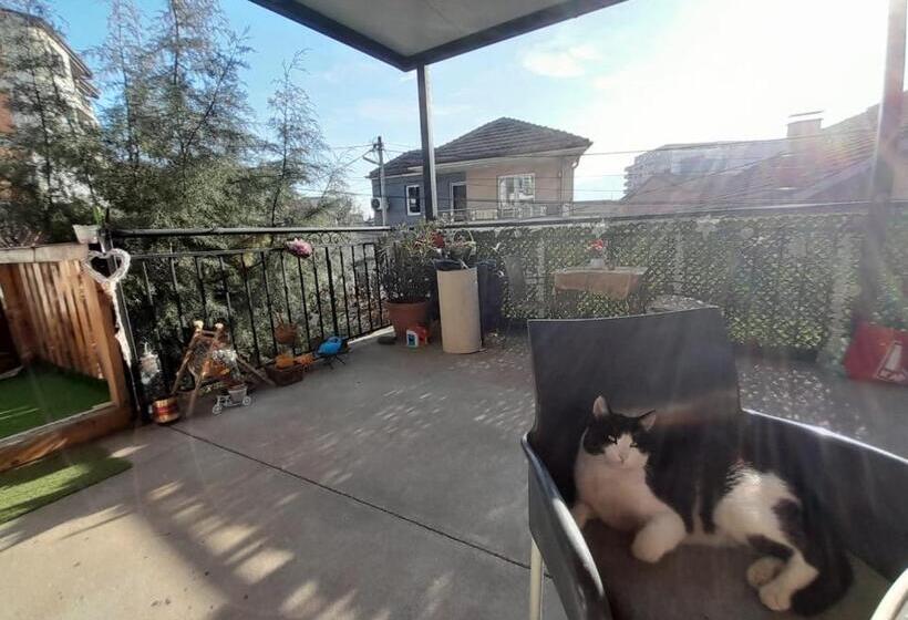 تختخواب و صبحانه Adem S Cozy Terrace Retreat