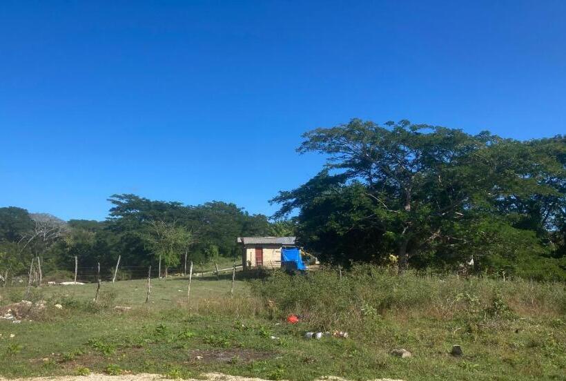 تختخواب و صبحانه The Kool Spot