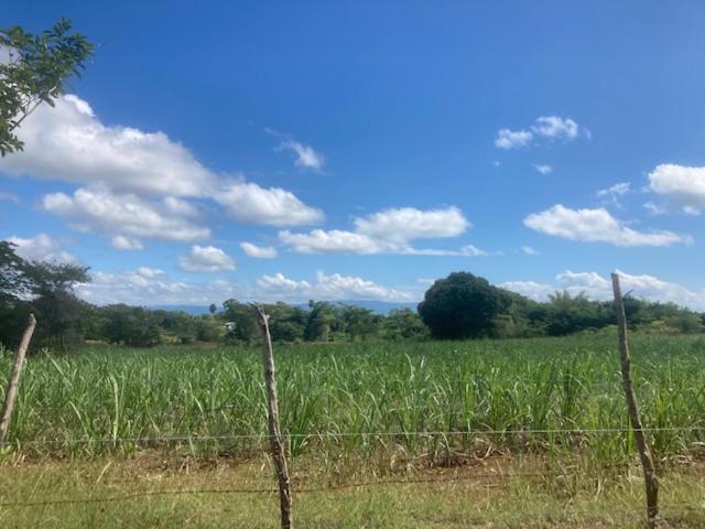 تختخواب و صبحانه The Kool Spot