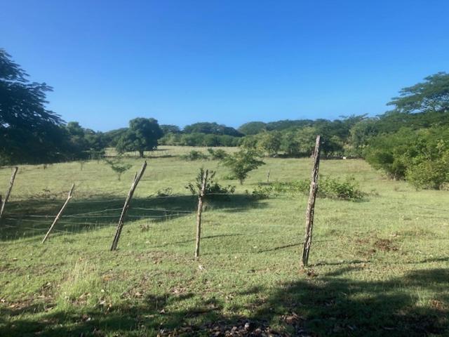 تختخواب و صبحانه The Kool Spot