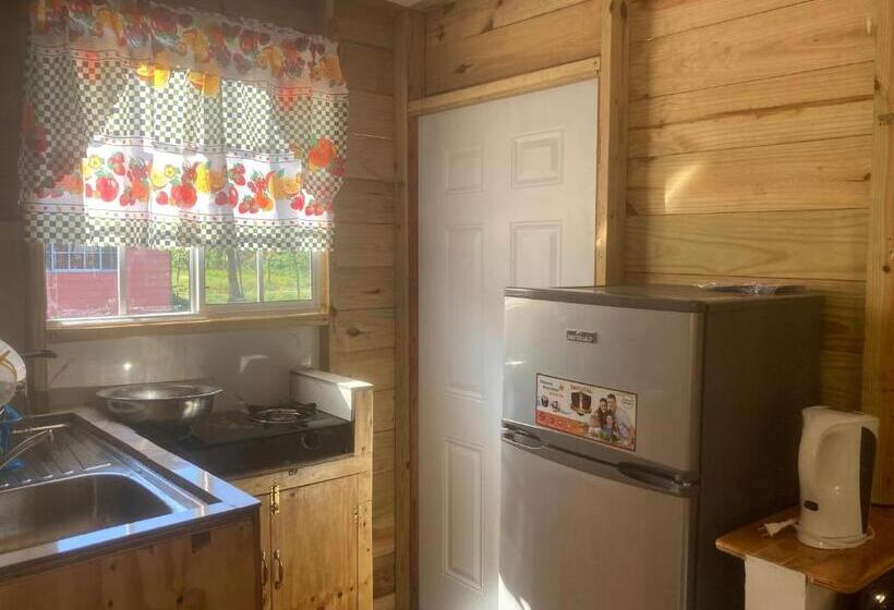 تختخواب و صبحانه The Kool Spot