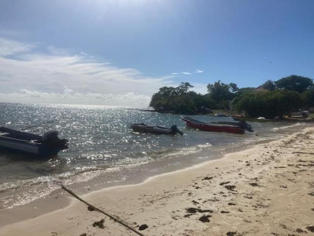 تختخواب و صبحانه The Kool Spot